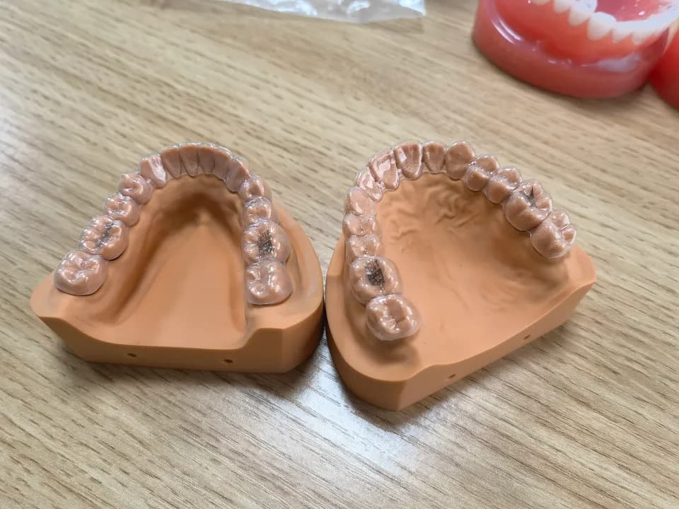 齿科模型，工程实拍