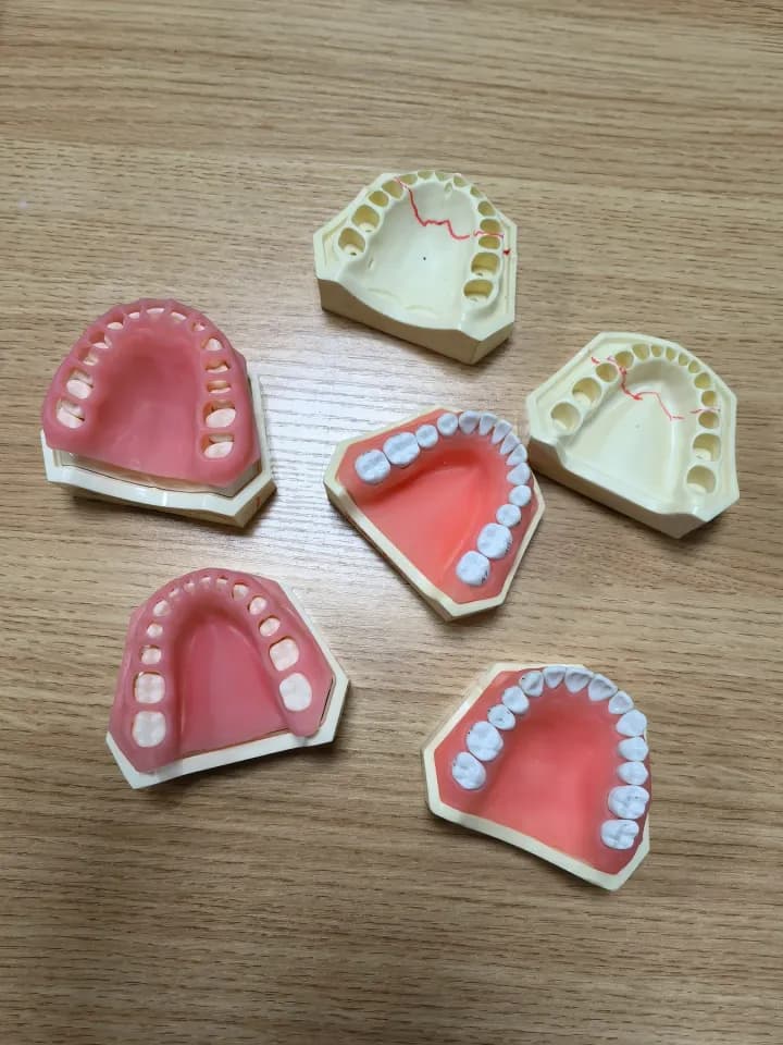 Dental model, Workshop photography
