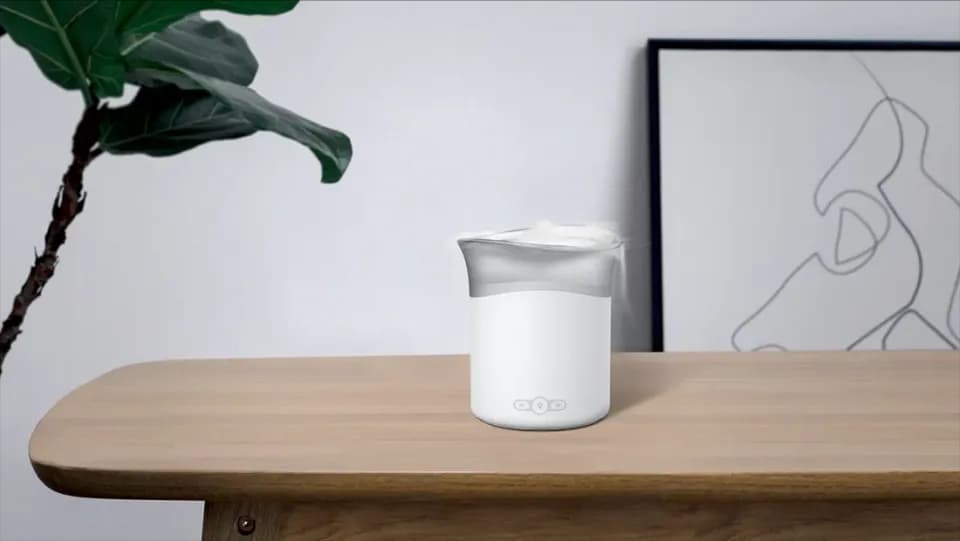 Pet furniture, Product design showcase