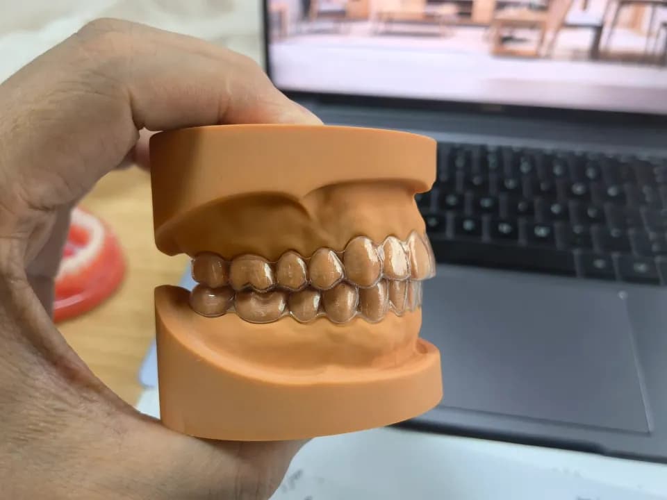 齿科模型，工程实拍