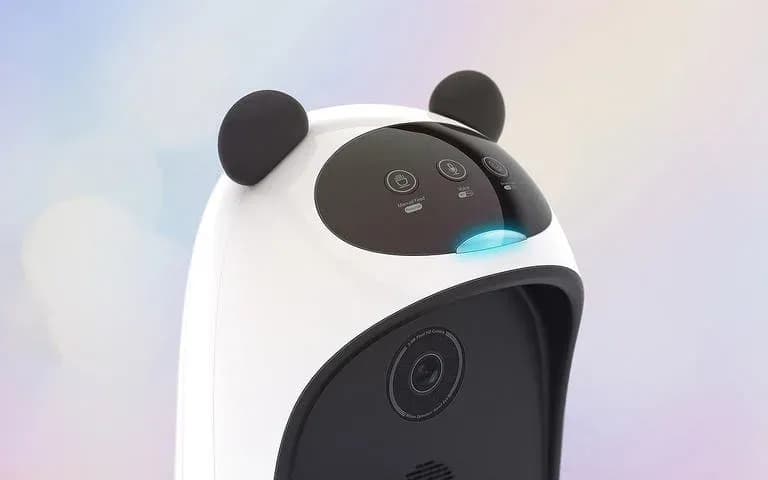 Pet furniture, Product design showcase