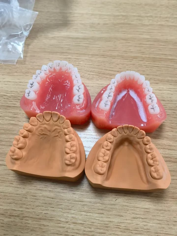 Dental model, Workshop photography
