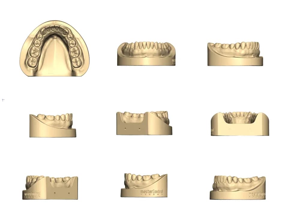 Dental model, Workshop photography