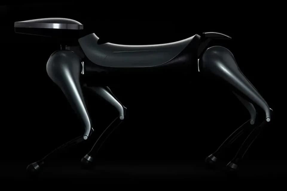 Smart robot, Product design showcase